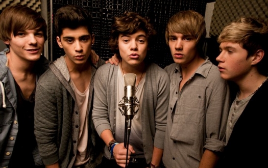 one direction the wanted